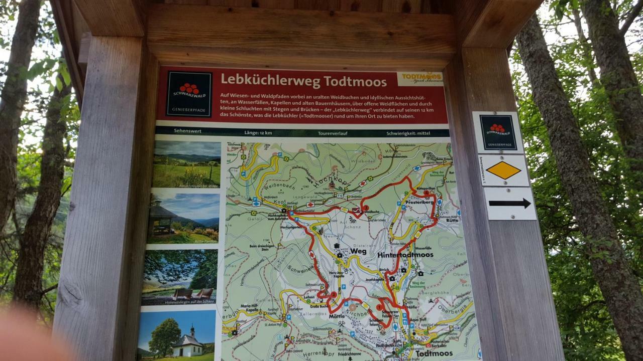 Ferienwohnung Im Schwarzwald Todtmoos Buitenkant foto