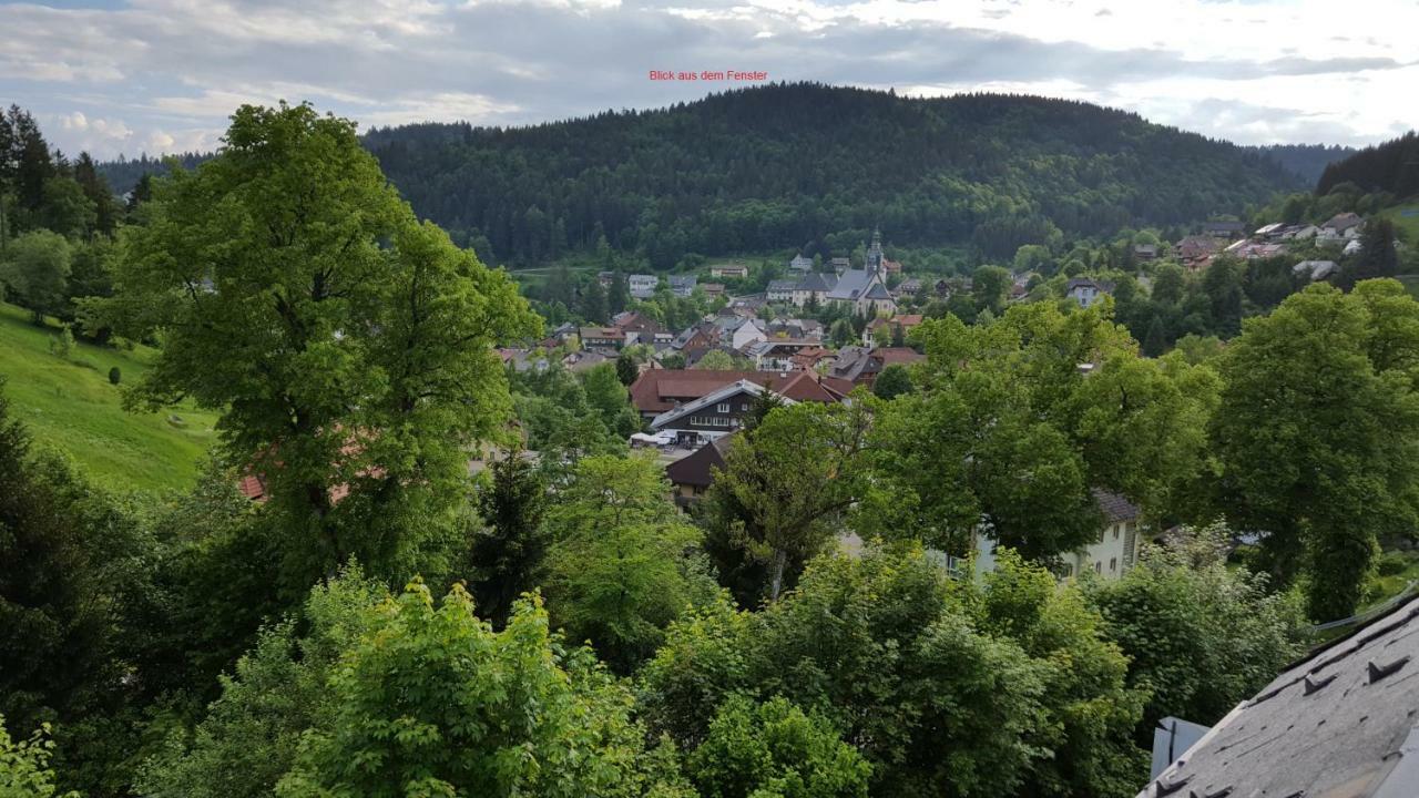 Ferienwohnung Im Schwarzwald Todtmoos Buitenkant foto